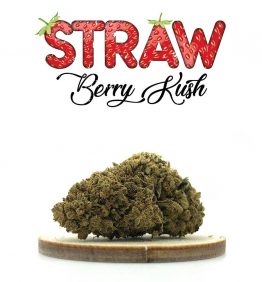 STRAWBERRY KUSH - FLEURS DE CBD - KANEEP