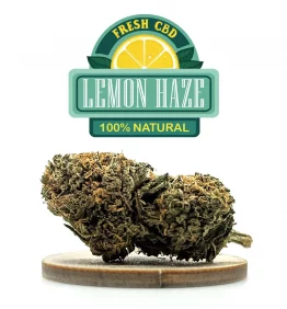 sac-lemonhaze-cbd-kaneep-v2 sac-lemonhaze-cbd-kaneep-v2