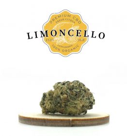 LIMONCELLO - FLEURS DE CBD - KANEEP