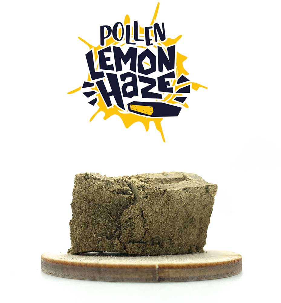 POLLEN LEMON HAZE - POLLEN DE CBD - KANEEP