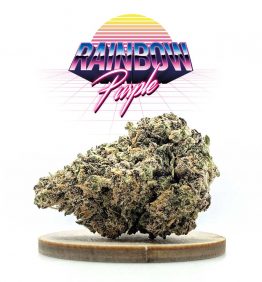 sac-rainbow-purple-cbd-kaneep-v2 sac-rainbow-purple-cbd-kaneep-v2