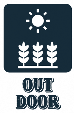 OUTDOOR