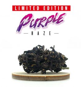 PURPLE HAZE - FLEURS DE CBD - KANEEP