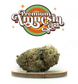 sac-amnesia-cbd-kaneep-v2 AMNESIA - FLEURS DE CBD - KANEEP