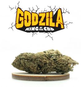 sac-godzilla-cbd-kaneep-v2 GODZILLA - GODZILA - FLEURS DE CBD - KANEEP