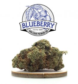 sac-blueberry-cbd-kaneep-v2 sac-blueberry-cbd-kaneep-v2