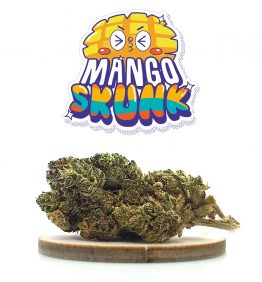 sac-mango-skunk-cbd-kaneep-v2 sac-mango-skunk-cbd-kaneep-v2