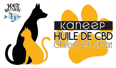 LOGO HUILE DE CBD POUR CHIEN ET CHAT