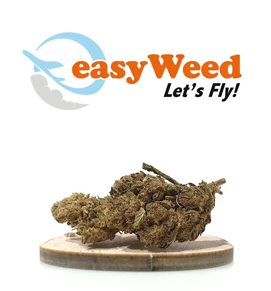 EASY WEED CBD