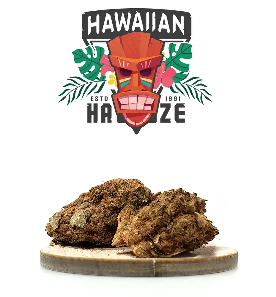 HAWAIIAN HAZE INDOOR CBD