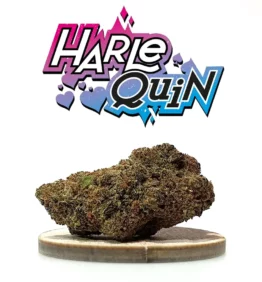 sac-harlequinv2-cbd-kaneep-v2 sac-harlequinv2-cbd-kaneep-v2