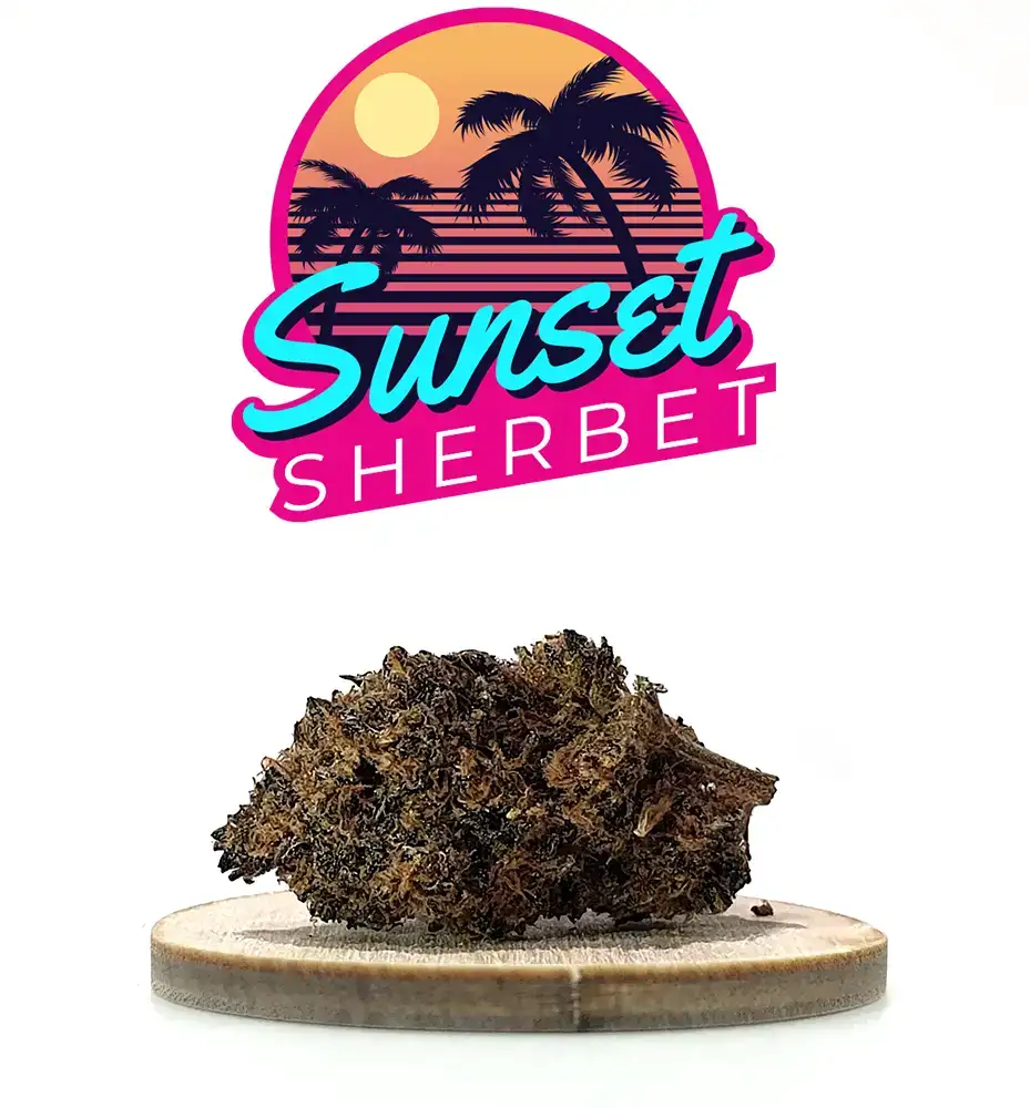 SUNSET SHERBET INDOOR CBD