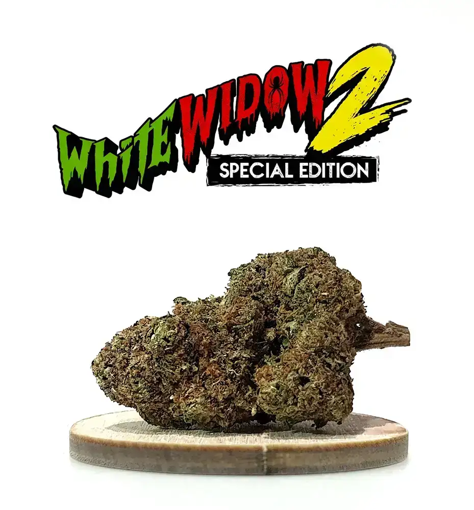 WHITE WIDOW 2 INDOOR CBD