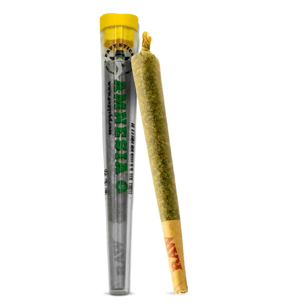 PRE ROLLS - AMNESIA - PAPY STICK